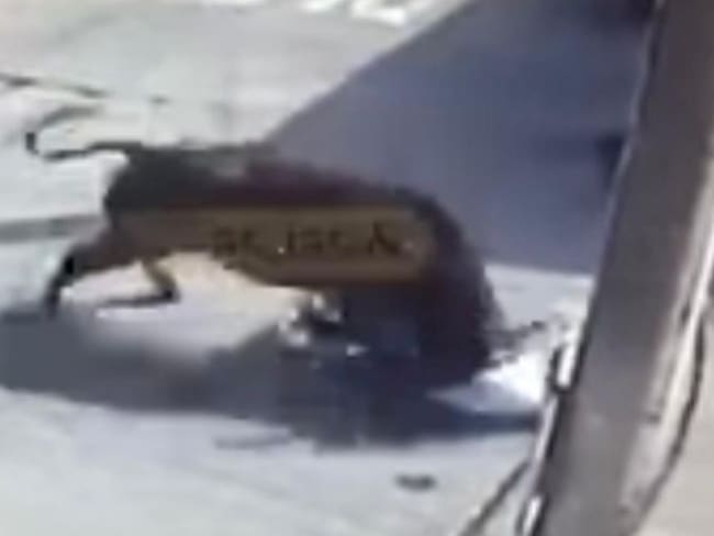 Foto: Suministrada por César Marín.