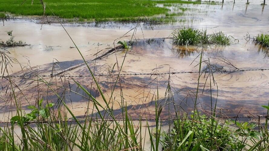 Derrame de petróleo ocasiona desastre ambiental el Yopal. Foto: La W. / Cortesía campesinos