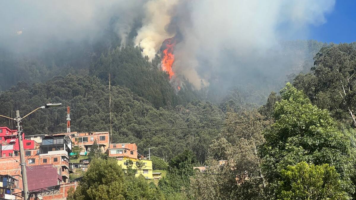 Procuraduría pide acelerar logística para atender emergencia por incendios forestales