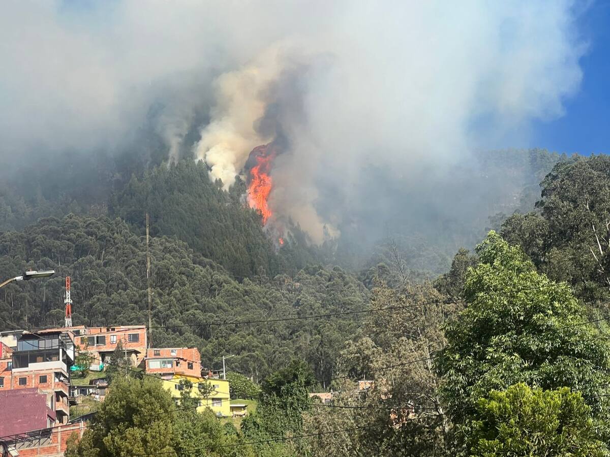 Procuraduría pide acelerar logística para atender emergencia por incendios forestales