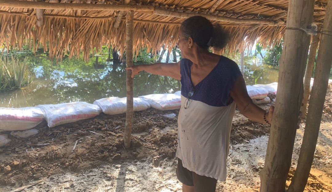 Las inundaciones han arrasado con cultivos de yuca, maíz, ajonjolí y frijoles