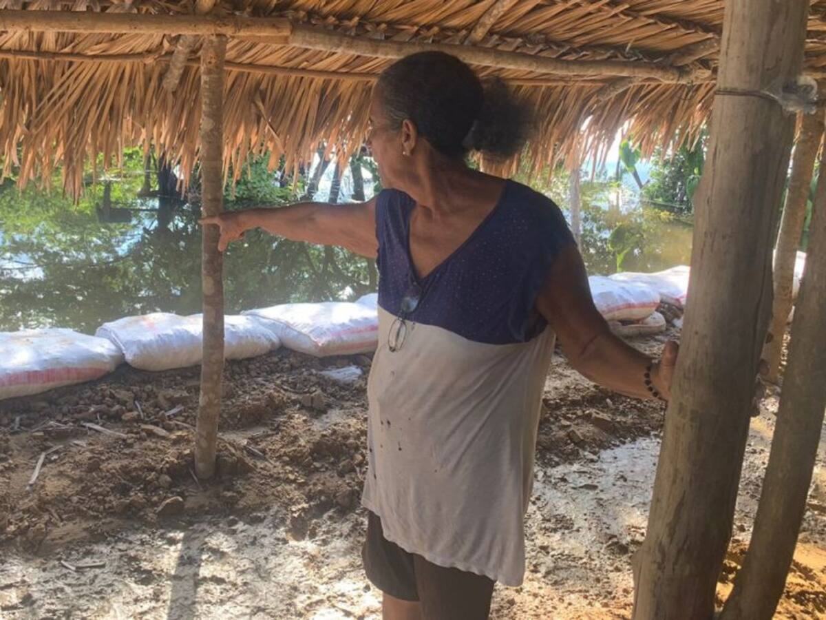 Campesinos reportan pérdidas de cultivos en Zambrano, Bolívar