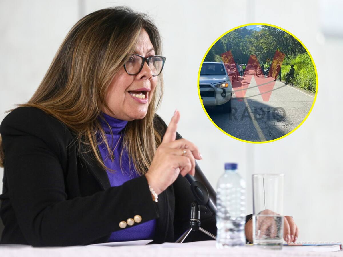 Fiscal Luz Adriana Camargo explicó por qué no se capturó a alias ‘Calarcá’ en caravana en Antioquia