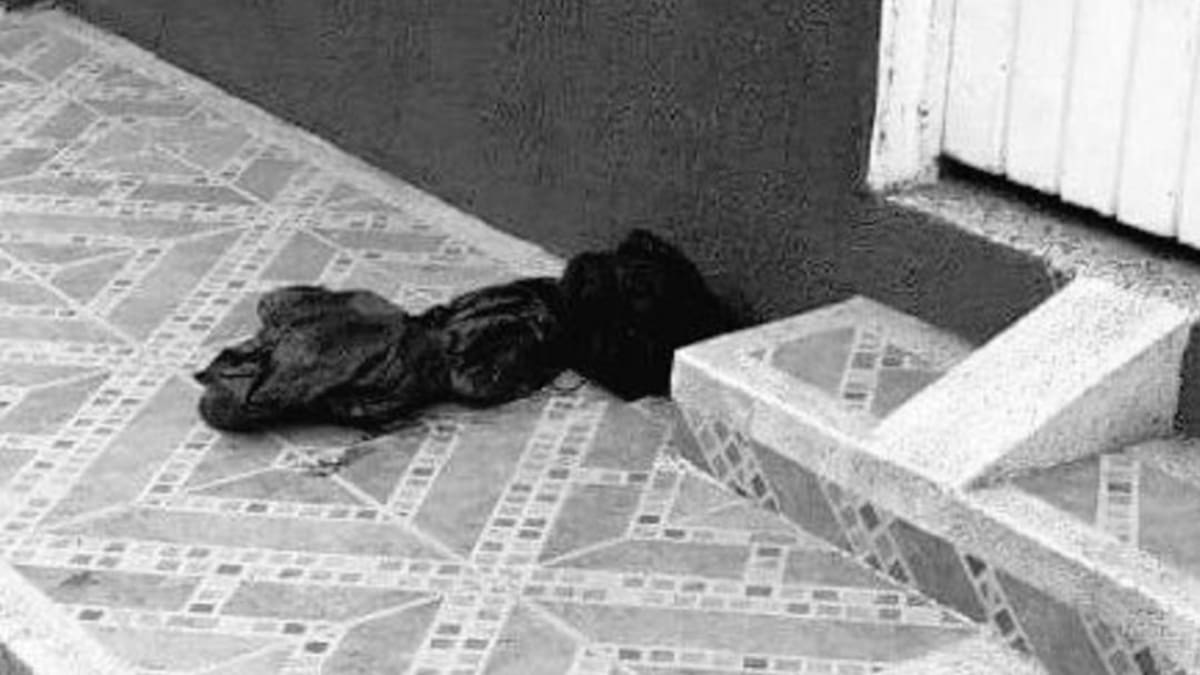 En pleno andén encontraron la cabeza de un hombre en Buga, Valle