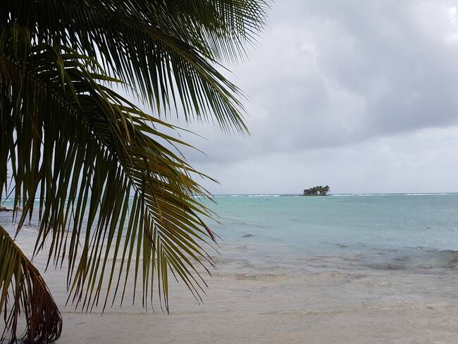 Imagen de referencia vía Getty Images