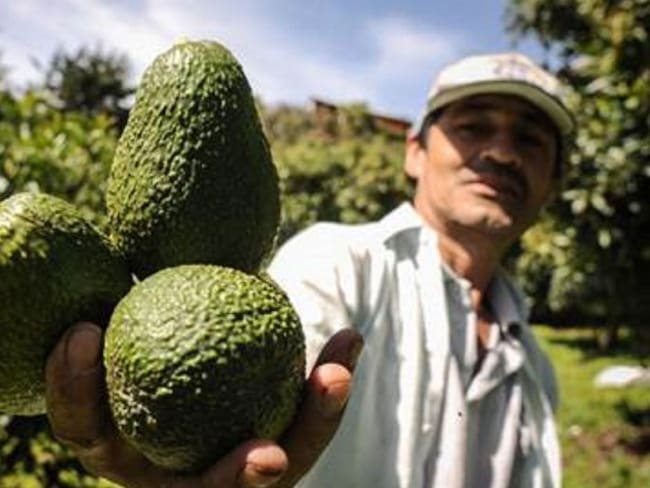 Managro adquiere operaciones de la empresa vallecaucana Pacific Fruits