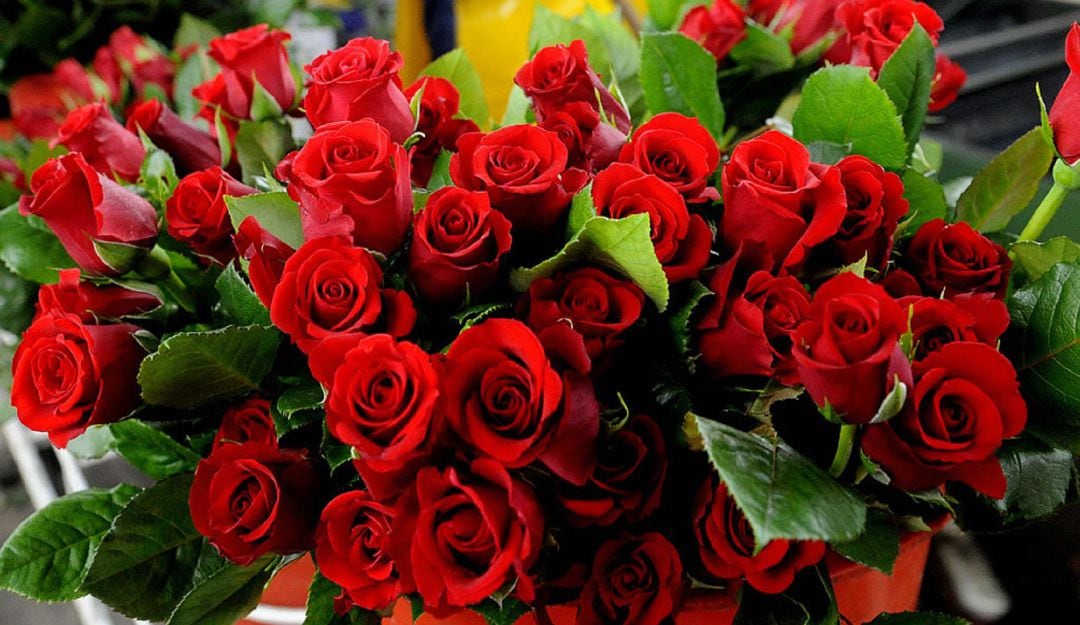 Las flores colombianas celebran con los enamorados del mundo