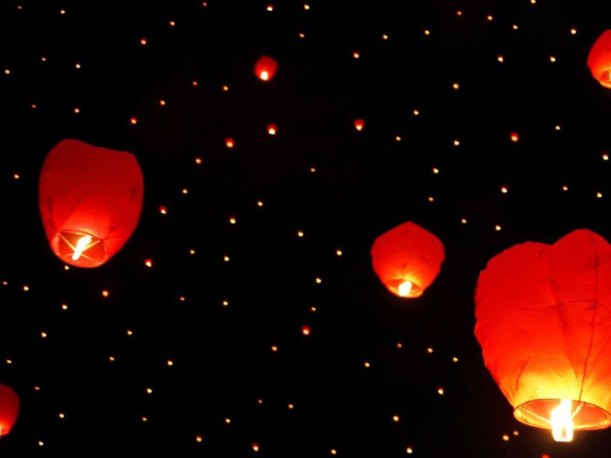 El año nuevo chino: año del buey