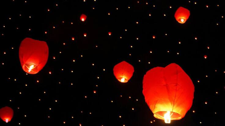 El año nuevo chino: año del buey.