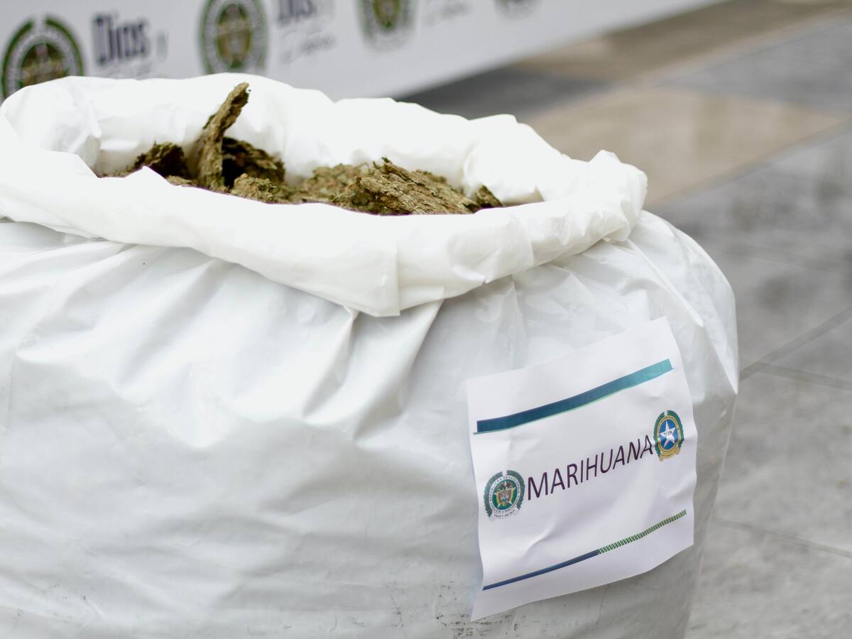 La Armada Nacional incautó una tonelada de marihuana en la isla de San Andrés