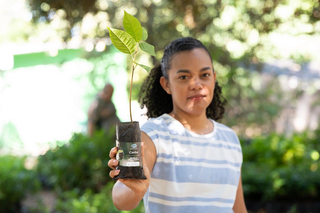 El Domingo de Ramos en el Magdalena dejó más de 3.000 árboles sembrados/ Corpamag