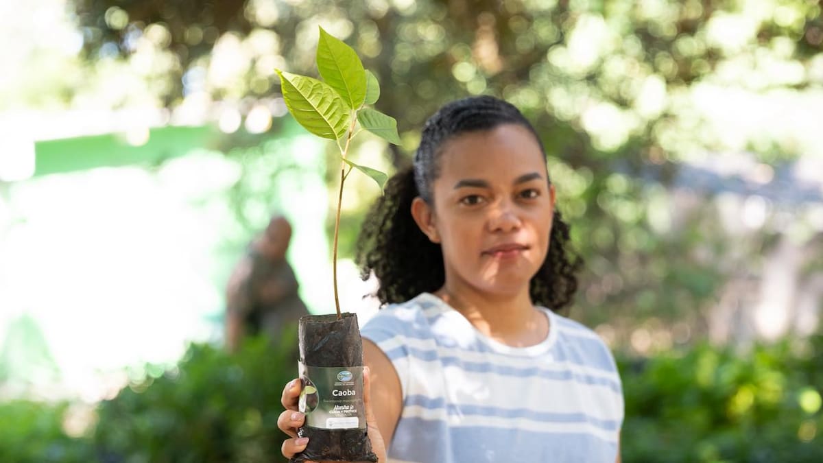 El Domingo de Ramos en el Magdalena dejó más de 3.000 árboles sembrados