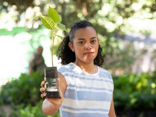 El Domingo de Ramos en el Magdalena dejó más de 3.000 árboles sembrados/ Corpamag