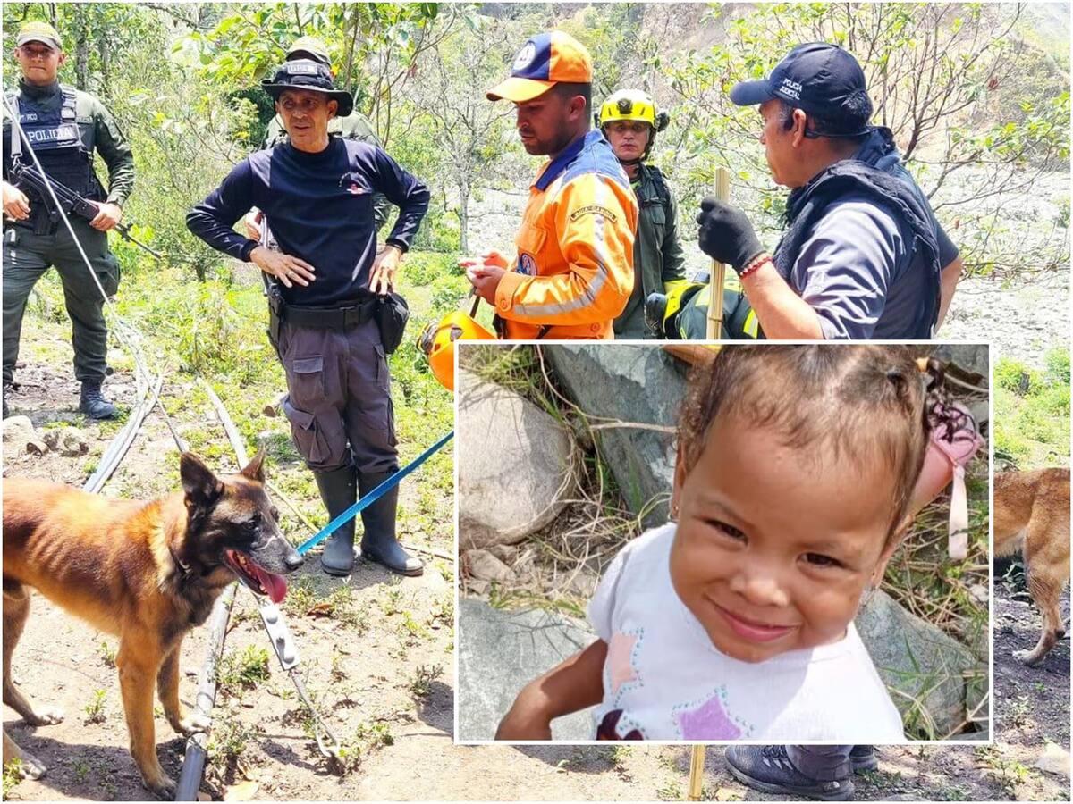 Suspendieron la búsqueda de la niña Eileen Páez de 2 años en el Tolima
