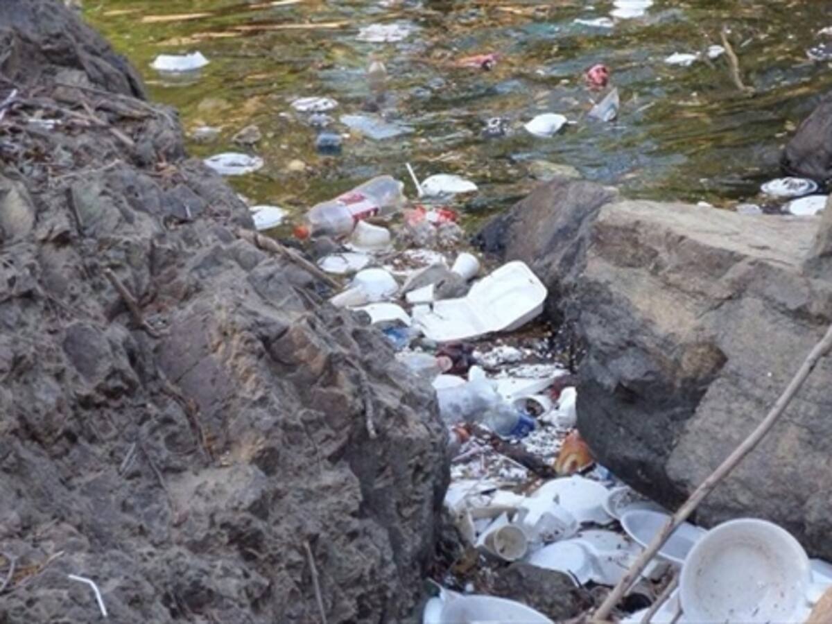 Realizan plantón en el río Guatapurí por el Día Mundial del Agua