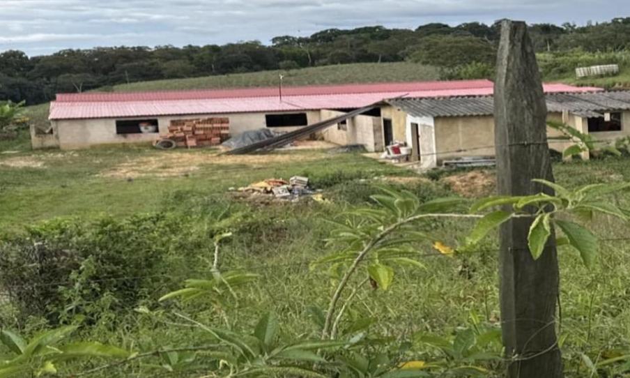 De acuerdo con la comunidad de la vereda San Martín de Santana, Boyacá, aseguran que este criadero de cerdos está contaminando una fuente hídrica y el medio ambiente / Foto: Suministrada.