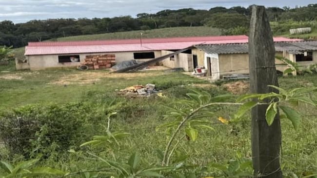 De acuerdo con la comunidad de la vereda San Martín de Santana, Boyacá, aseguran que este criadero de cerdos está contaminando una fuente hídrica y el medio ambiente / Foto: Suministrada.