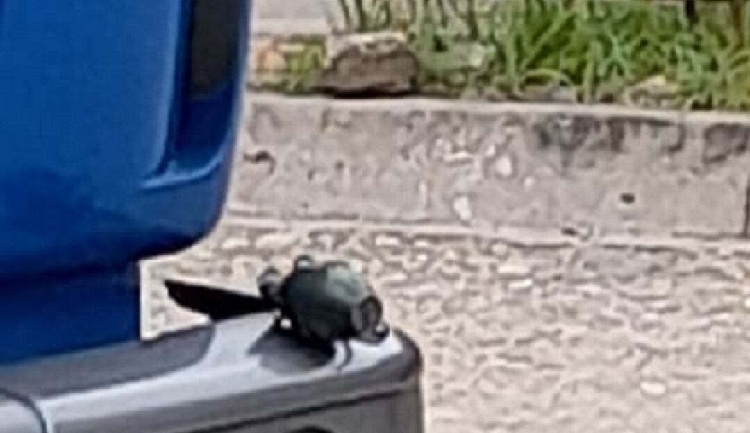 Granada cerca a estación de policía en Tibú