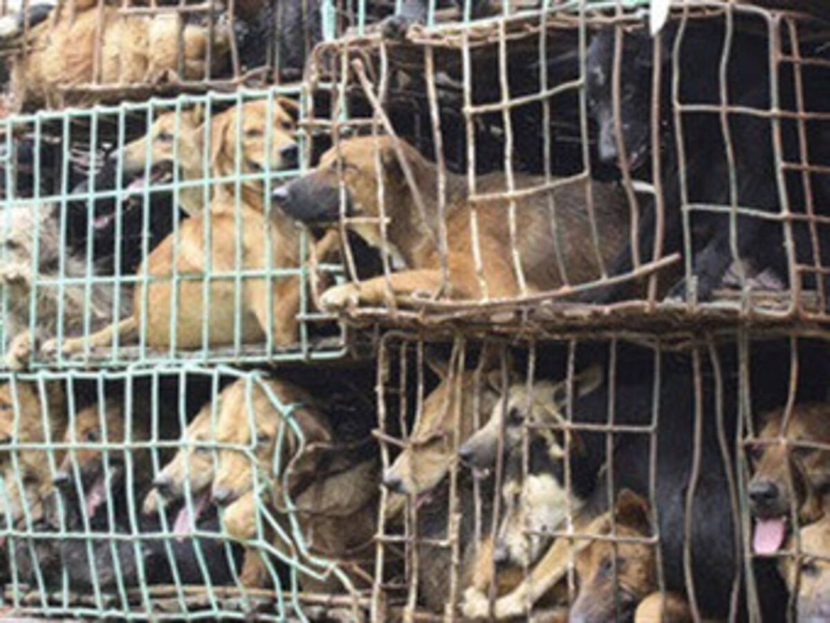 Once Caldas y Boyacá Chicó no pudieron pasar del empate en Palogrande