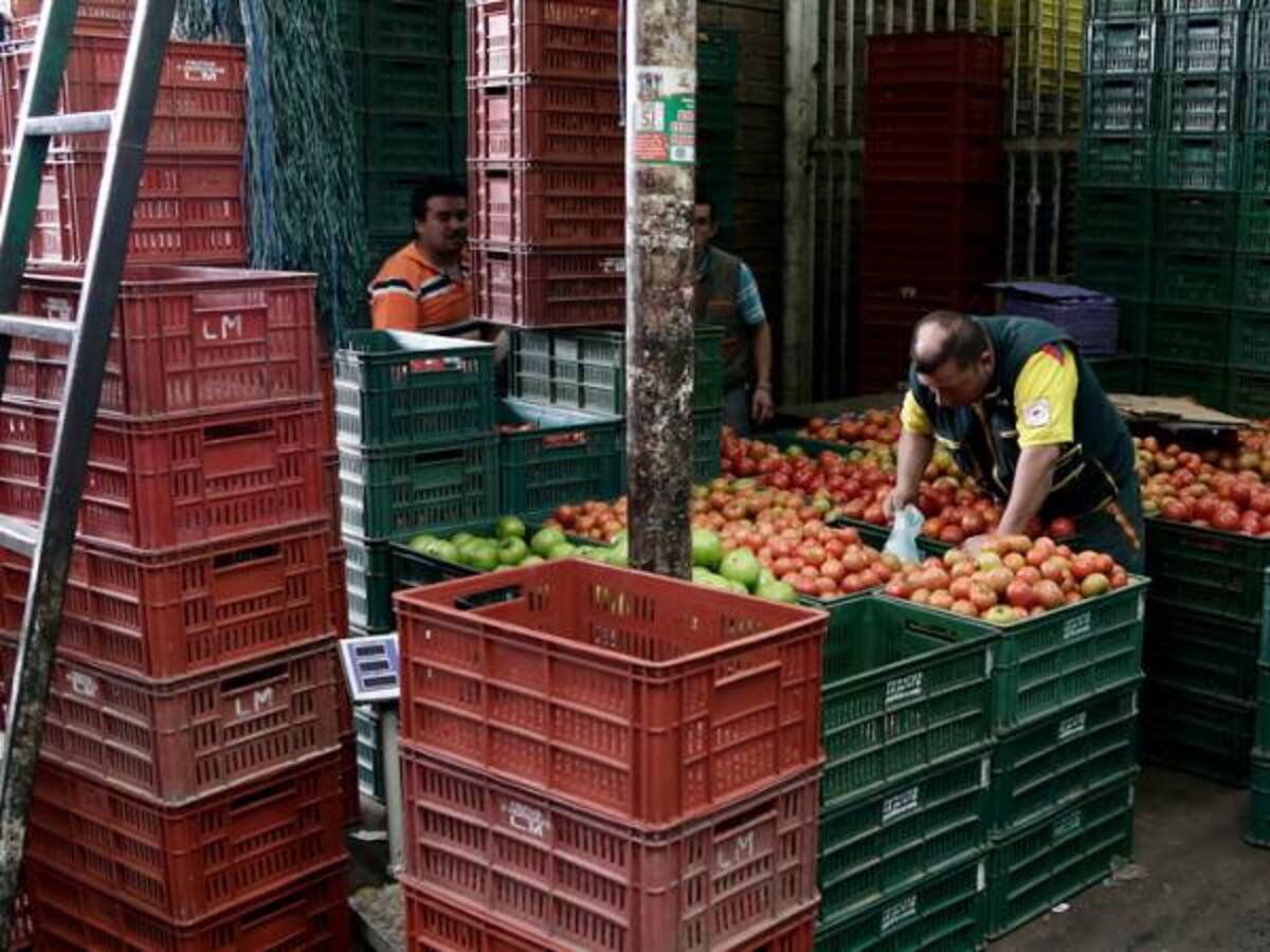 Importar alimentos no es la solución para controlar el costo de vida: SAC