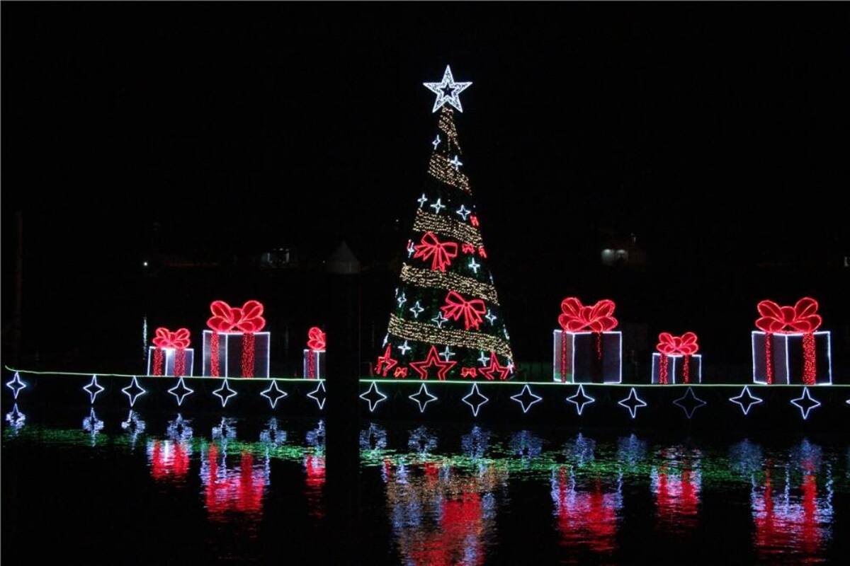 Árboles humanos, en los ríos y las ciudades más emblemáticas del mundo inundadas de luces y de la magia de la navidad. / Árbol más grande de Colombia en el río Sinú.