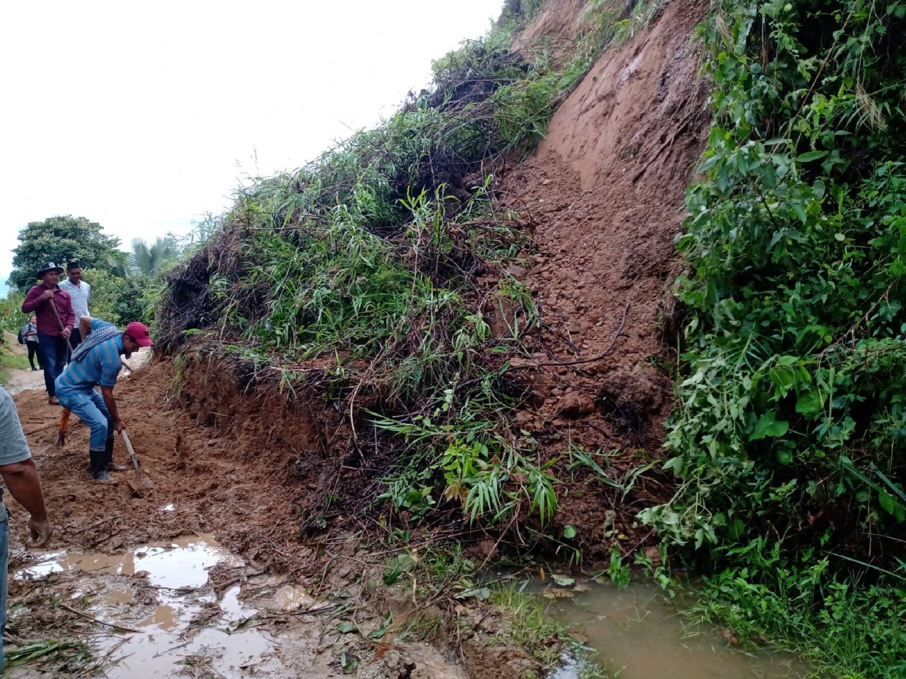 Vía Venadillo - Santa Isabel afectada por derrumbes