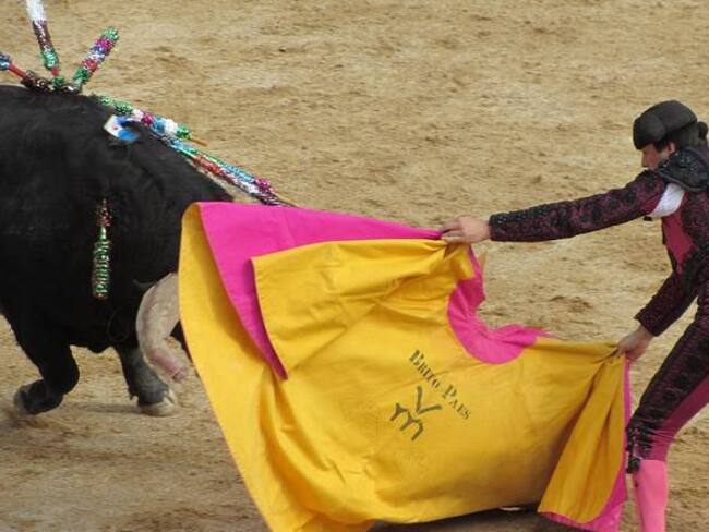 Los Toros en la Feria de San Isidro