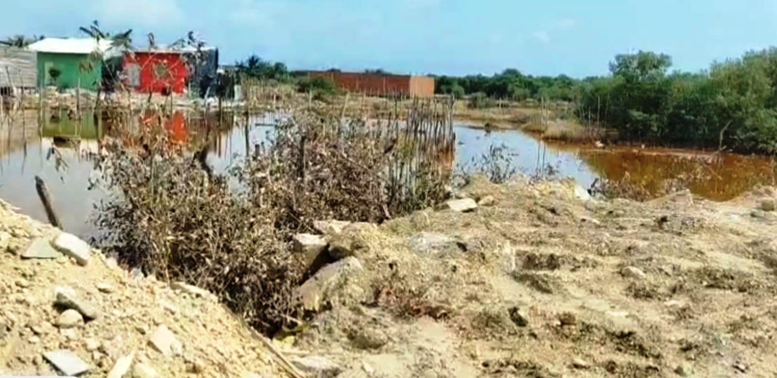Guardia Ambiental descubre otro extenso relleno y tala ilegal de manglar en la Ciénaga de la Virgen