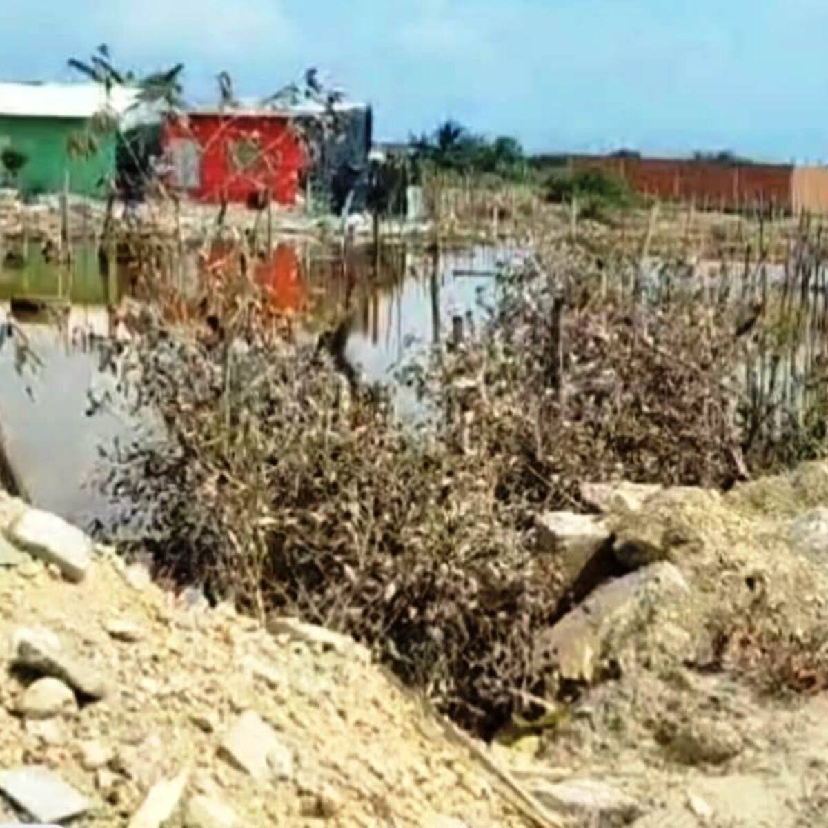 Guardia Ambiental descubre otro extenso relleno y tala ilegal de manglar en la Ciénaga de la Virgen