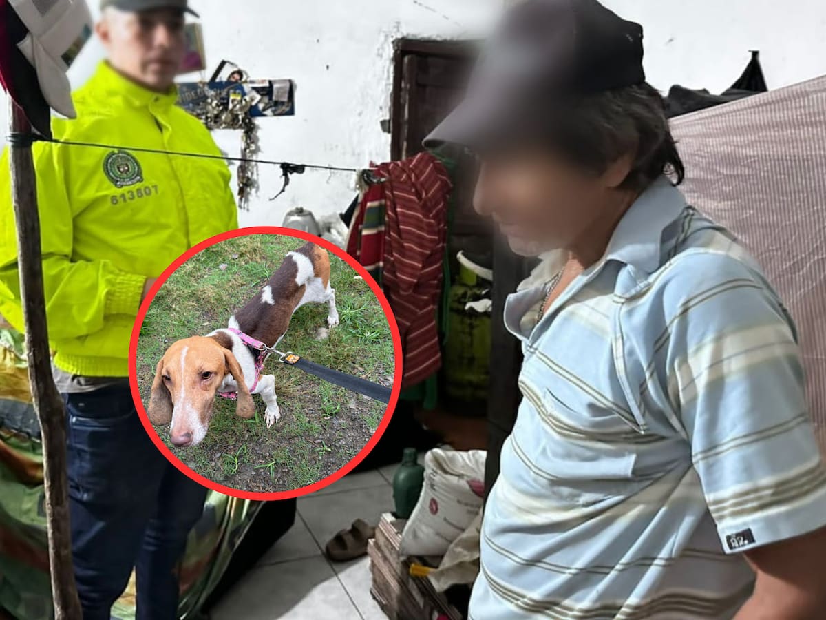 Nuevo caso de crueldad animal: capturaron en Dabeiba a un hombre que abusó y maltrató a dos perritas