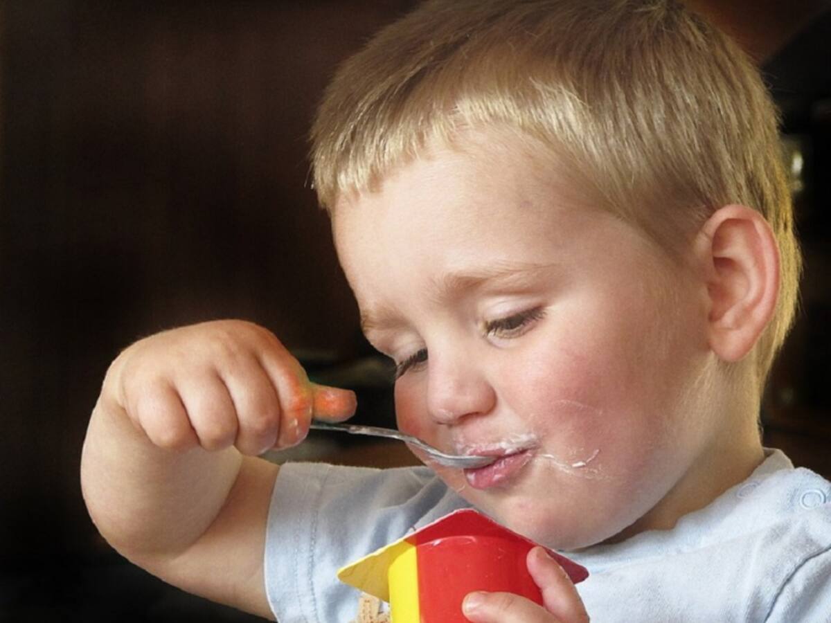 Beneficios de los probióticos en diabetes tipo I y tipo II