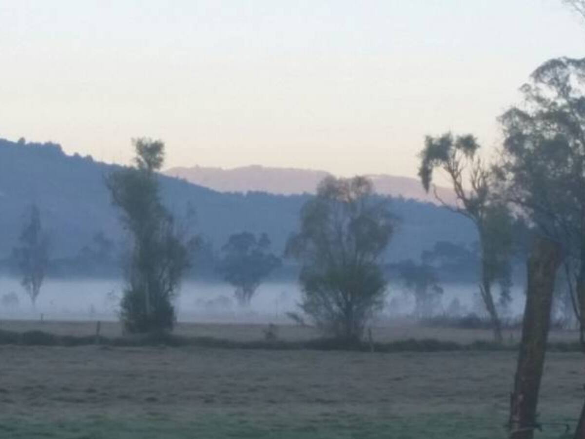 Heladas están afectando las actividades económicas de agricultura y ganadería en Cundinamarca