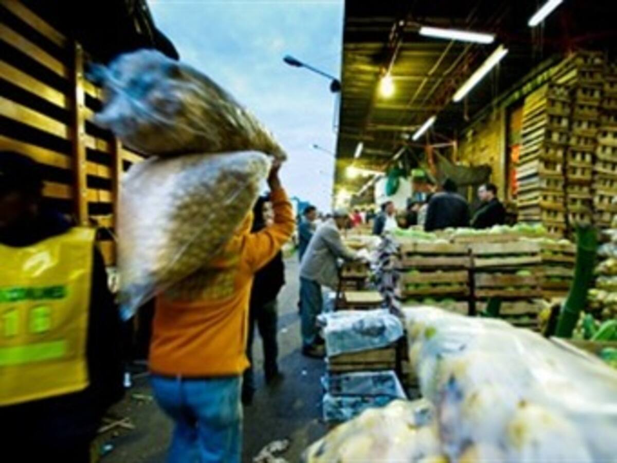 Autoridades sorprendieron a 25 menores de edad trabajando en Corabastos