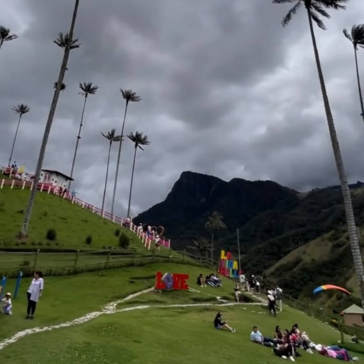 Contaminación visual en el Valle del Cocora: crece preocupación por aumento de avisos sin licencia
