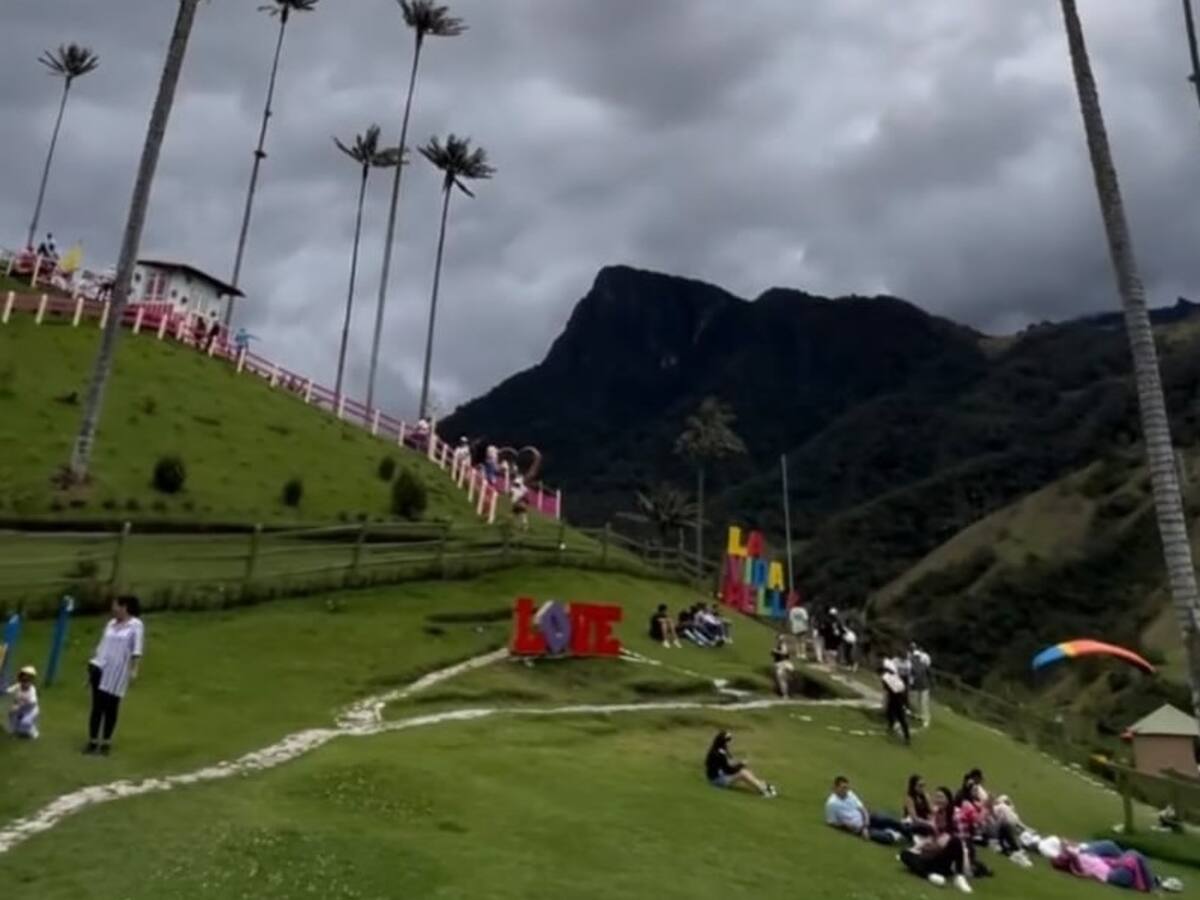 Contaminación visual en el Valle del Cocora: crece preocupación por aumento de avisos sin licencia