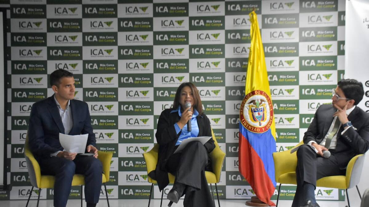 Supertransporte recibió 163 quejas desde 2023 por infracciones en transporte de mascotas