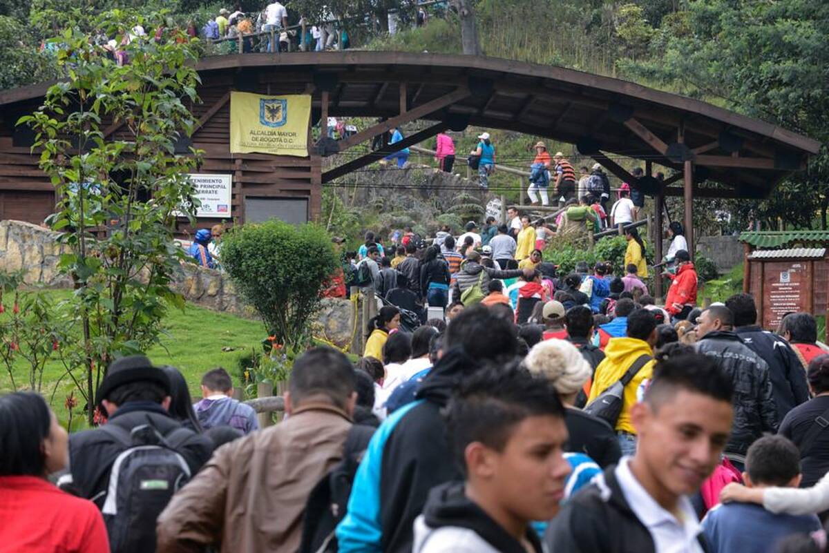 Se han registrado miles de visitantes, un promedio de 3.000 personas por hora, es decir unos 50 personas por minuto. Se espera que el total de las visitas sea alrededor de 65.000.