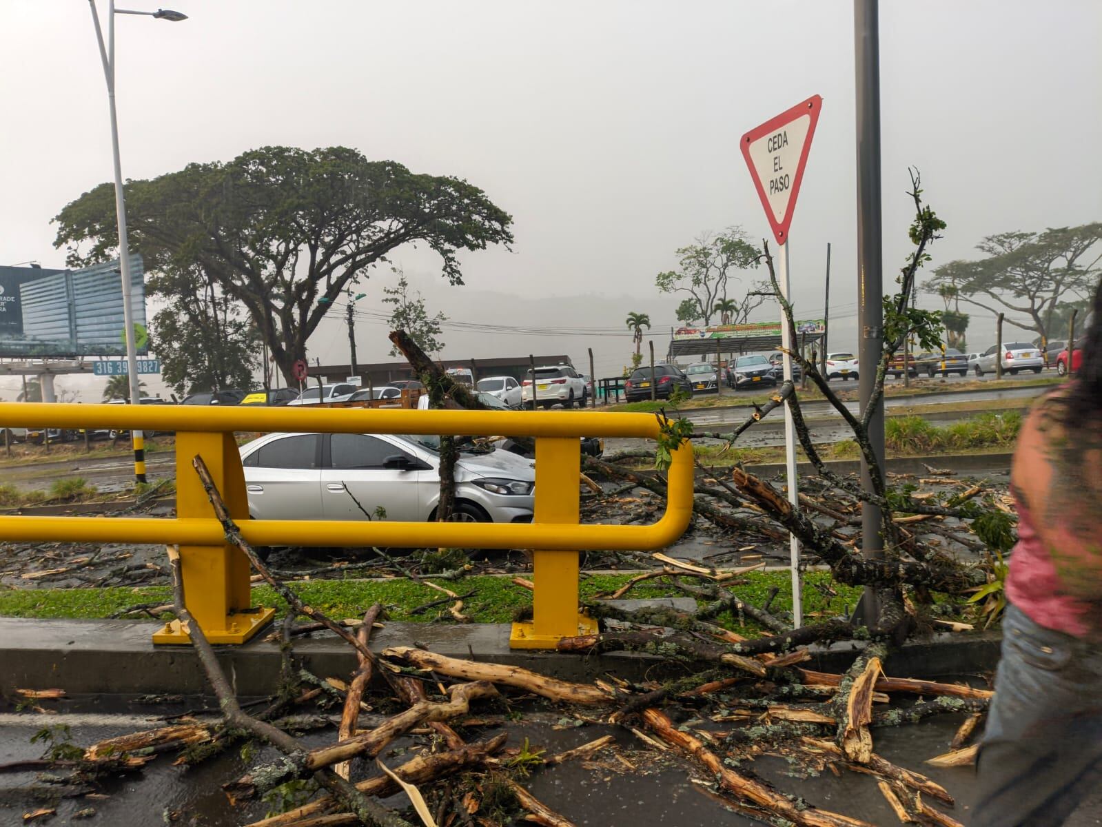 Caída de árbol en el sector del Aeromatecaña - Imagen suministrada.