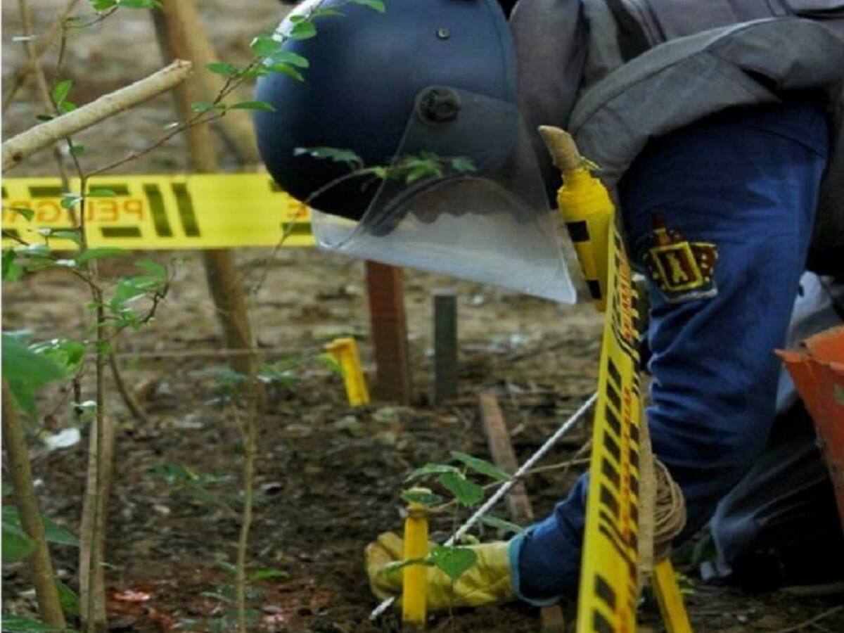 Víctimas de minas antipersona aumentaron en un 245% en el último año