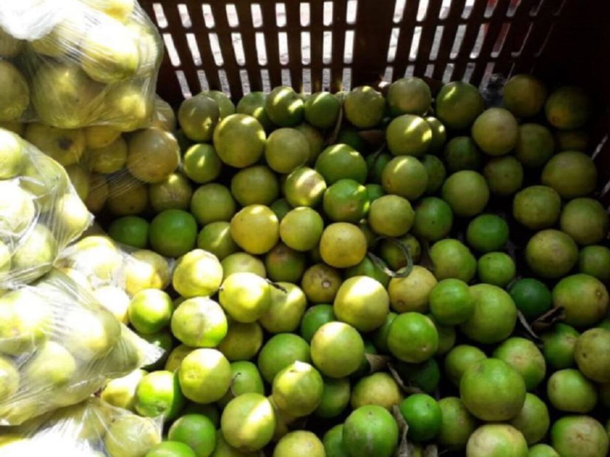 Aumenta el consumo de limón y jengibre en Barranquilla