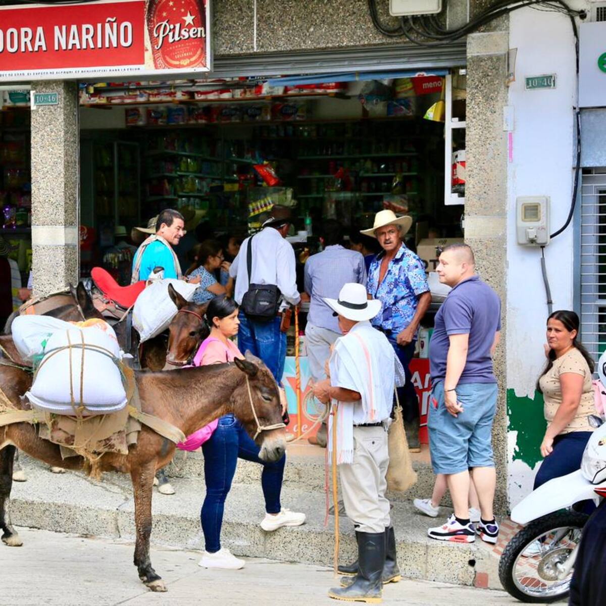 El comercio y el transporte público se normalizó este lunes en Argelia y Nariño
