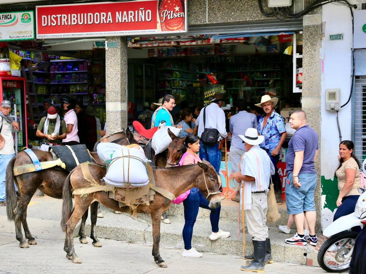 El comercio y el transporte público se normalizó este lunes en Argelia y Nariño