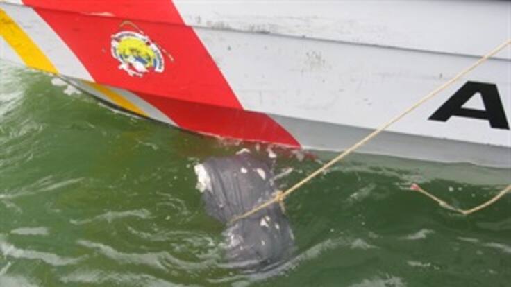 Asesinatos, desapariciones, violencia sexual y ahora desmembrados