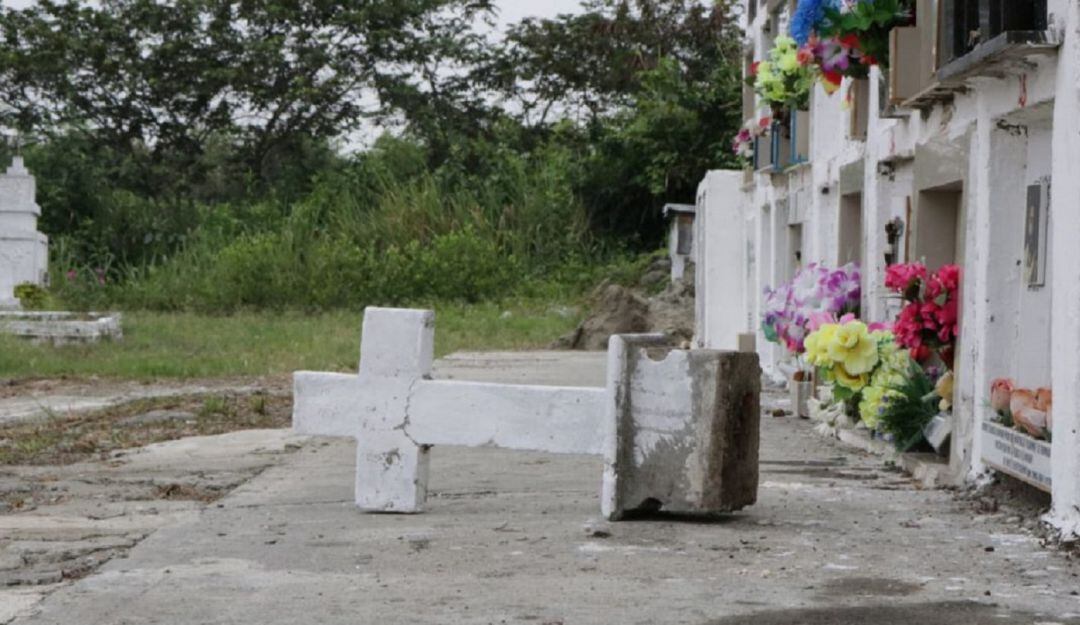 Imagen de referencia