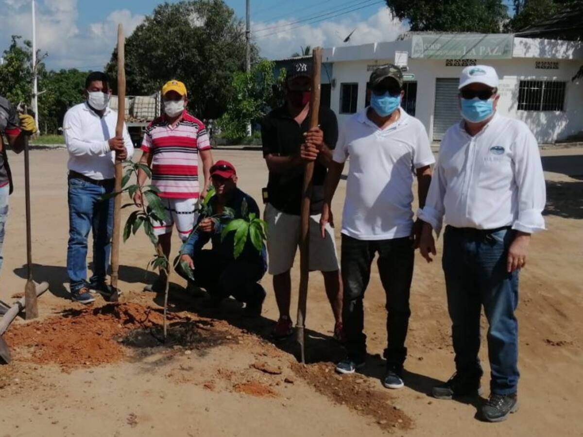 Magdalena celebra el Día Mundial del Árbol sembrando ébano, cedro y ceiba