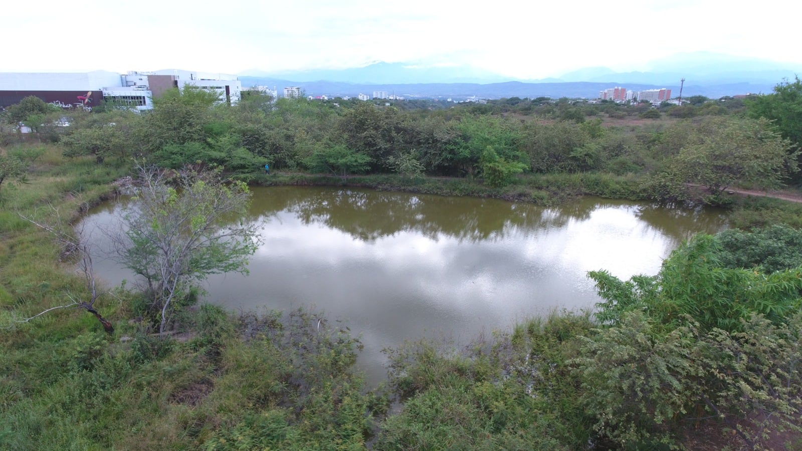 Actualmente, la CAM ha caracterizado de manera cartográfica 818 humedales en todo el territorio huilense, de los cuales 350 han sido debidamente identificados como un humedal, es decir se conoce su tipología y las características biológicas, ecológicas, socioeconómicas y ambientales.