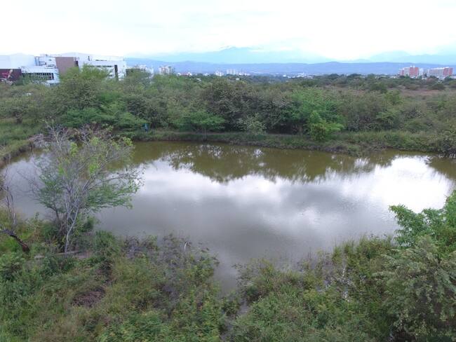 Actualmente, la CAM ha caracterizado de manera cartográfica 818 humedales en todo el territorio huilense, de los cuales 350 han sido debidamente identificados como un humedal, es decir se conoce su tipología y las características biológicas, ecológicas, socioeconómicas y ambientales.