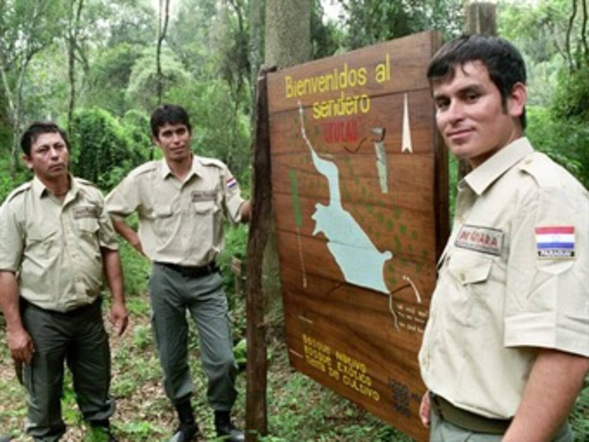 Greenpeace denuncia eliminación de la figura del guardabosques en Rusia