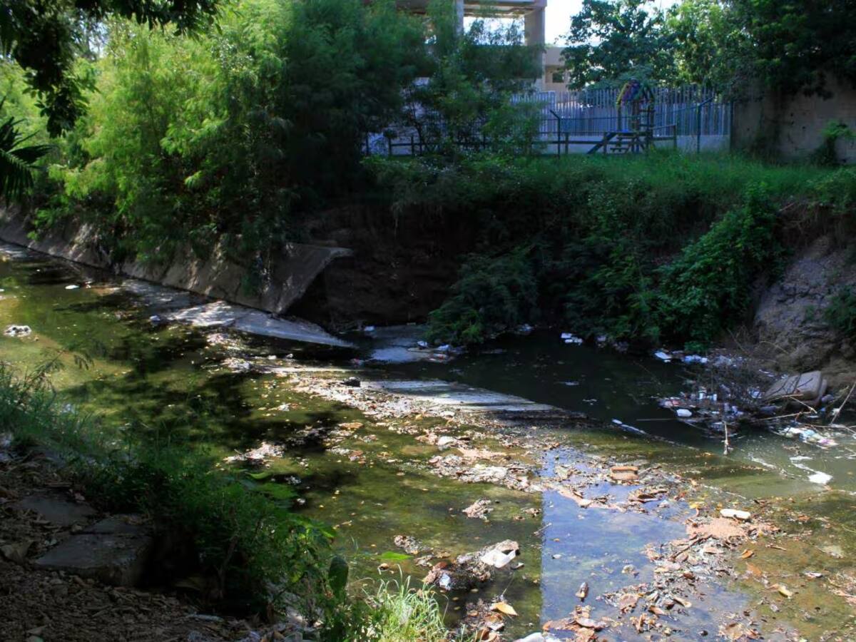 En Cartagena hombre fue encontrado sin vida flotando en canal Ricaurte