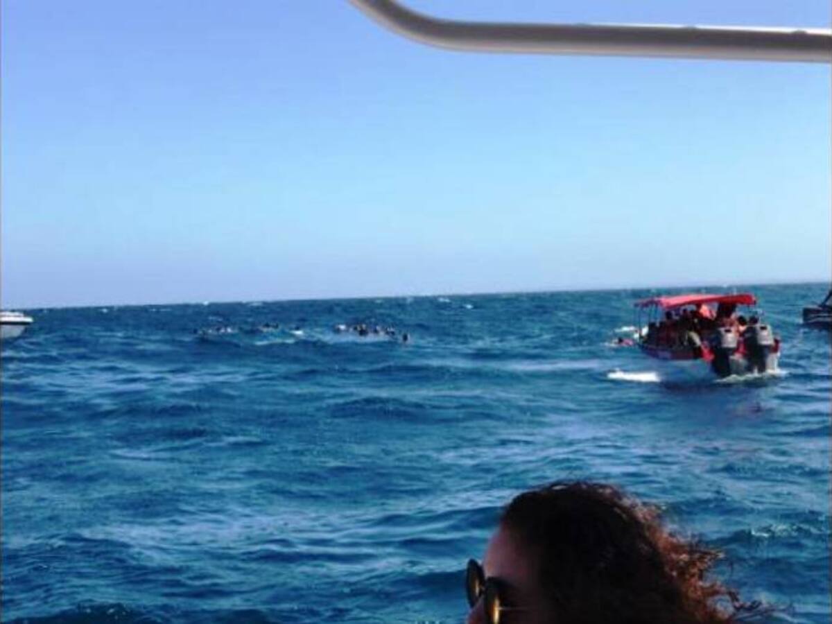 Sanas y salvas regresan 48 personas varadas en altamar